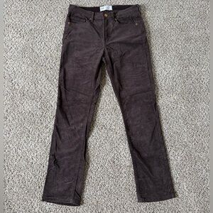 Women’s Brown Velvet Pants